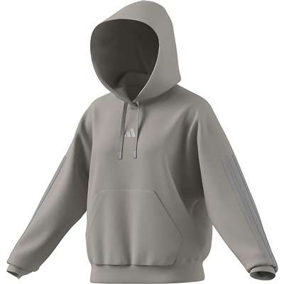 ワンダーアルミナ/シルバーメタリック