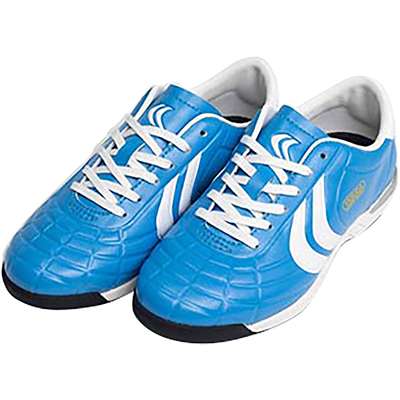 ブルー-ホワイトライン