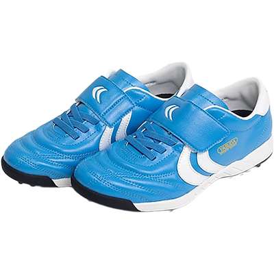 ブルー-ホワイトライン