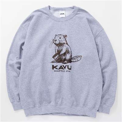 Ｓｐｏｒｔｓ　Ｇｒｅｙ