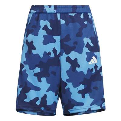 セミブルーバースト