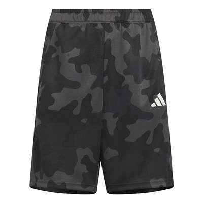 グレーシックス