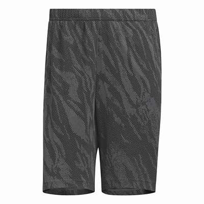 グレーシックス