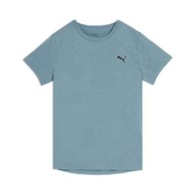 BALTIC SEA BLUE HEATHER