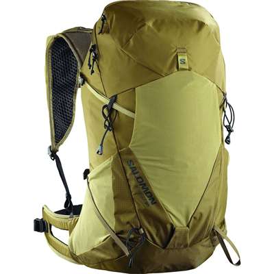 BRILLIANT OLIVE/Willow/BLACK