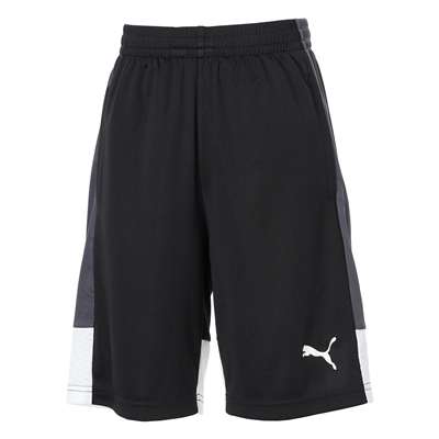 PUMA Black-PUMA White-Shadow Gray