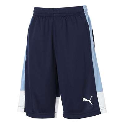 PUMA Navy-PUMA White-Zen Blue