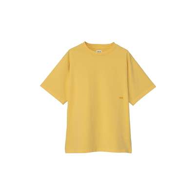 Y