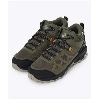 Nori Desert Gold
