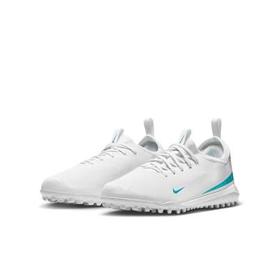 WHITE/DSTCAC