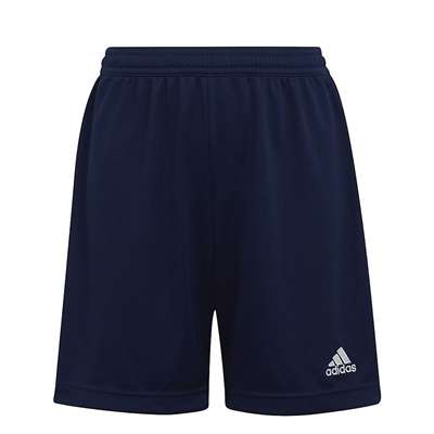 チームネイビーブルー