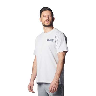Halo Gray /  /