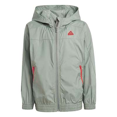 シルバーグリーン/アップソーラーレッド