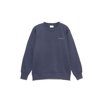 ダスティネイビー