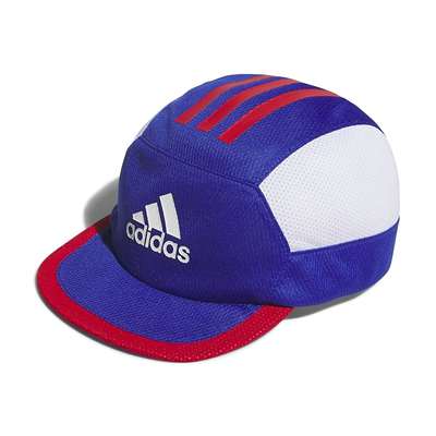 セミルシッドブルー