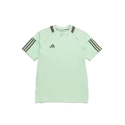 セミグリーンスパーク/ホワイト