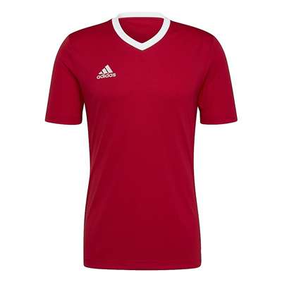 チームパワーレッド