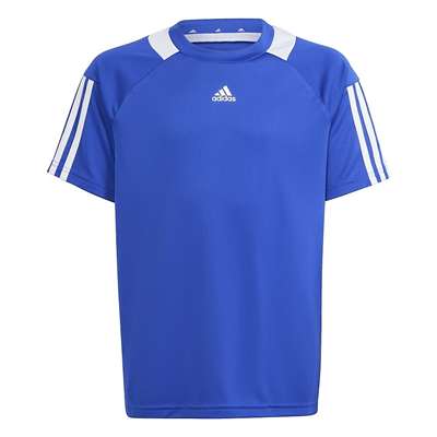 セミルシッドブルー/ホワイト