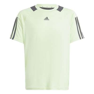 セミグリーンスパーク/グレーシックス