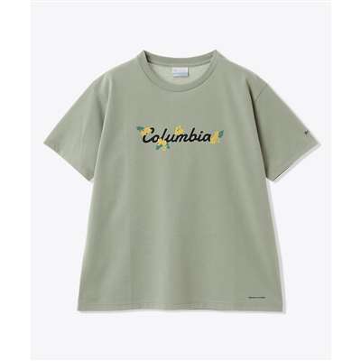 Safari