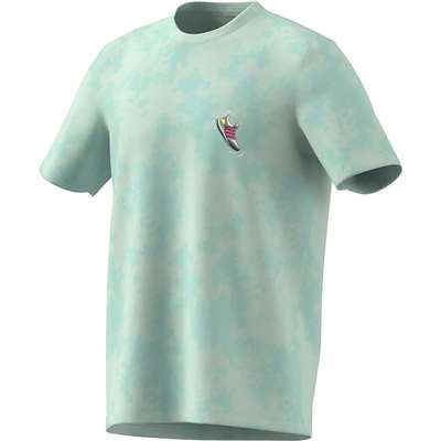 セミフラッシュアクア