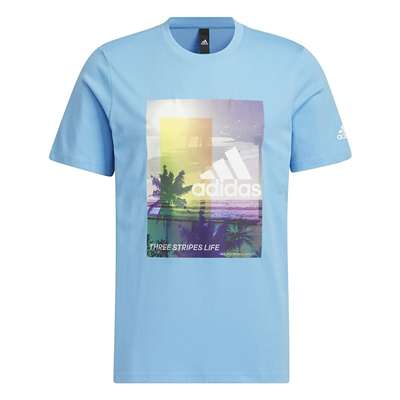 セミブルーバースト