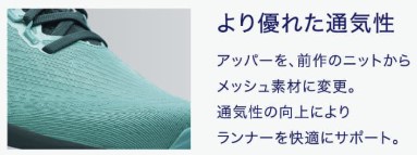 ${itemInfo.basicItemCode}アイテム画像