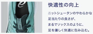 ${itemInfo.basicItemCode}アイテム画像