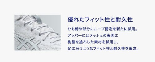 ${itemInfo.basicItemCode}アイテム画像