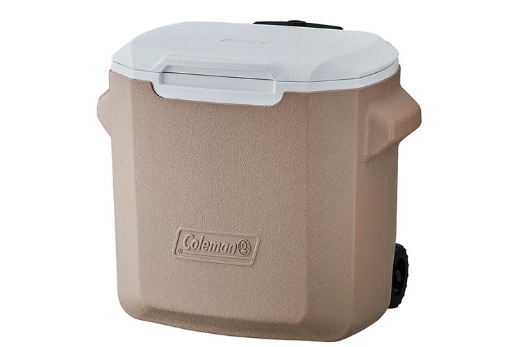 ${itemInfo.basicItemCode}アイテム画像