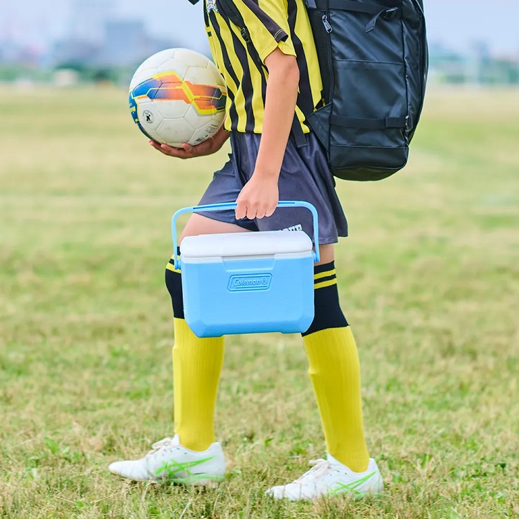 ${itemInfo.basicItemCode}アイテム画像