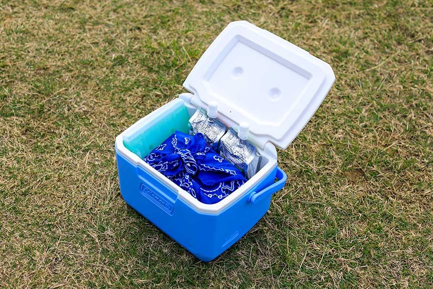 ${itemInfo.basicItemCode}アイテム画像