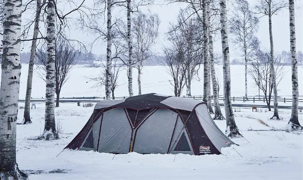 ${itemInfo.basicItemCode}アイテム画像