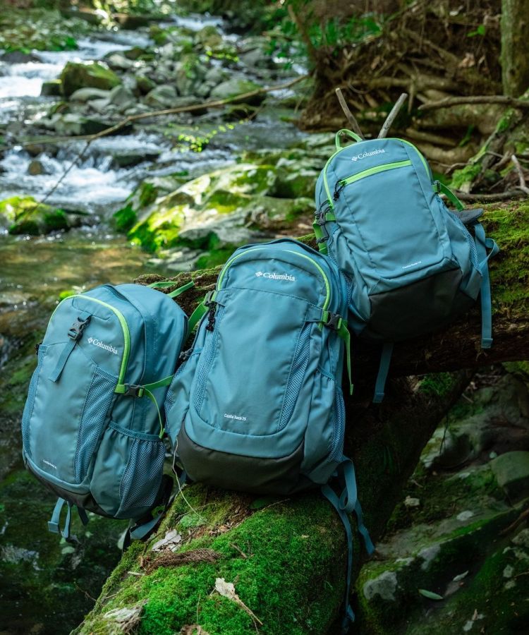 ${itemInfo.basicItemCode}アイテム画像