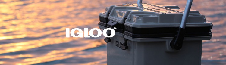 ${itemInfo.basicItemCode}アイテム画像