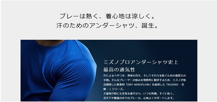 ${itemInfo.basicItemCode}アイテム画像