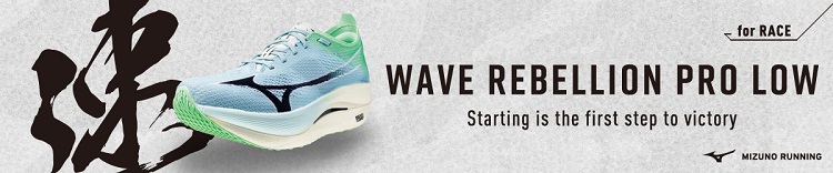 ${itemInfo.basicItemCode}アイテム画像