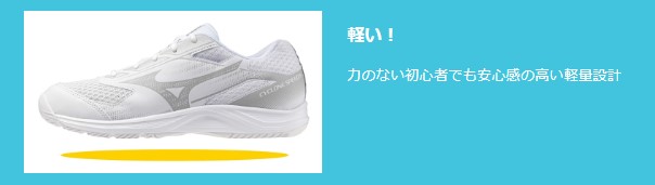 ${itemInfo.basicItemCode}アイテム画像