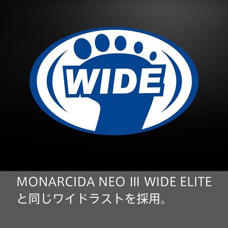 ${itemInfo.basicItemCode}アイテム画像