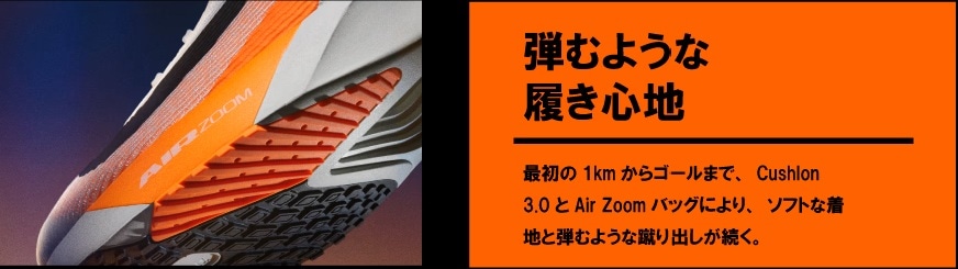 ${itemInfo.basicItemCode}アイテム画像