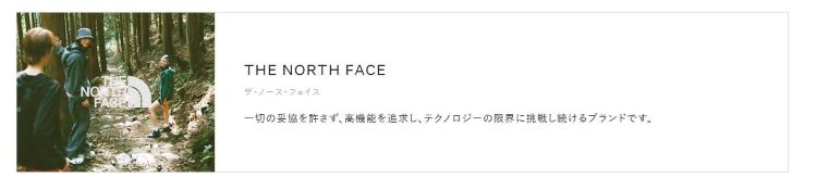 ${itemInfo.basicItemCode}アイテム画像