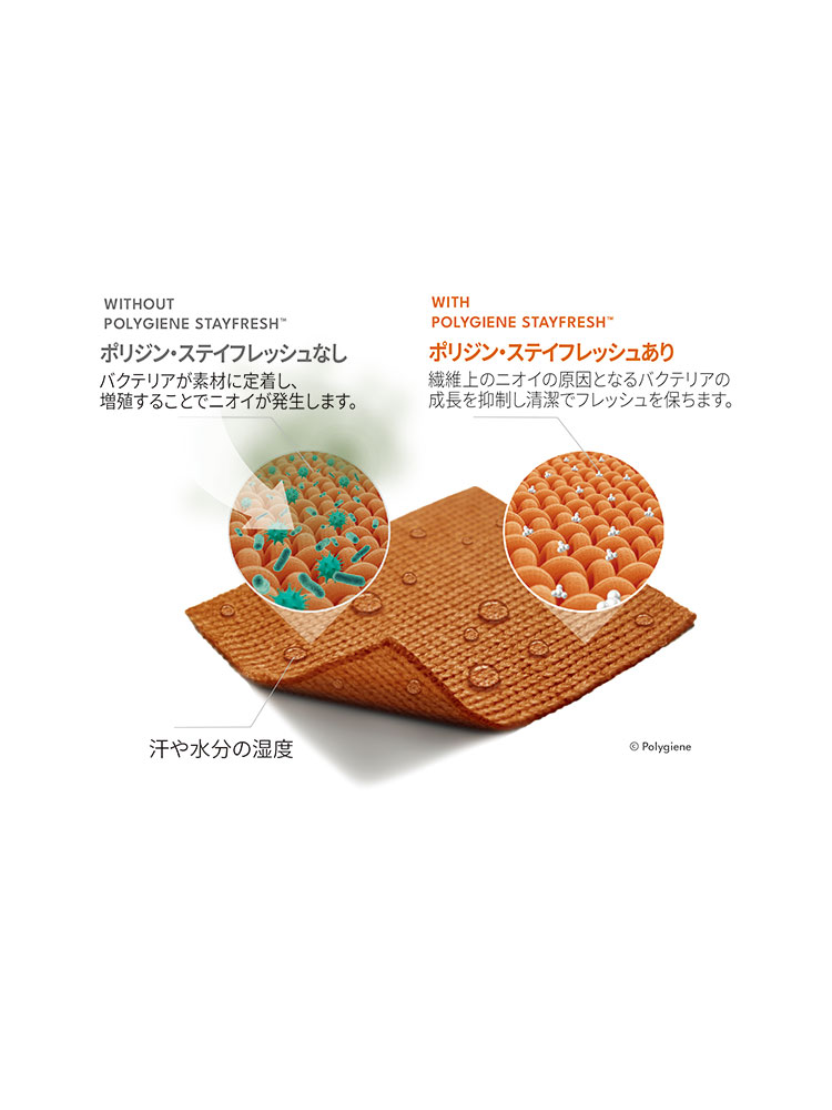 ${itemInfo.basicItemCode}アイテム画像