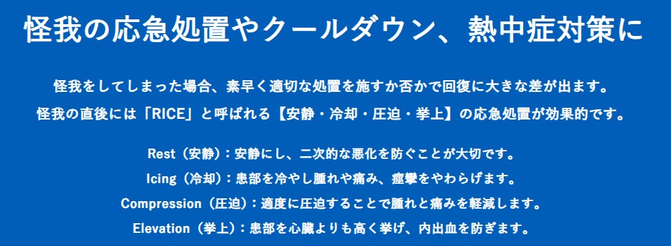 ${itemInfo.basicItemCode}アイテム画像