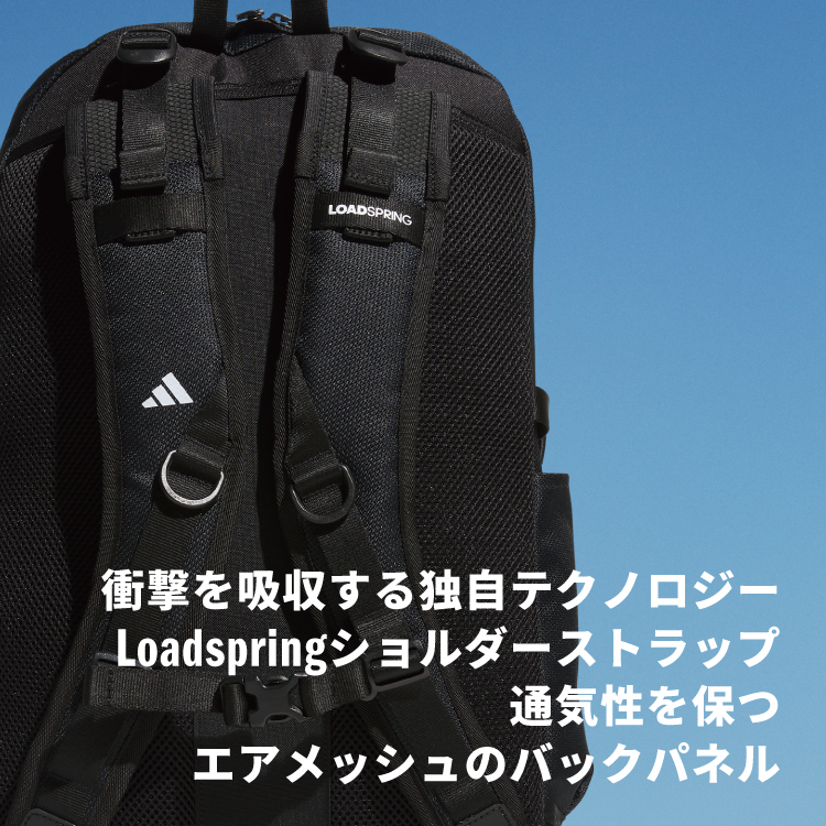 ${itemInfo.basicItemCode}アイテム画像