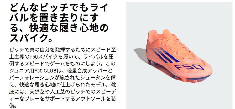 ${itemInfo.basicItemCode}アイテム画像