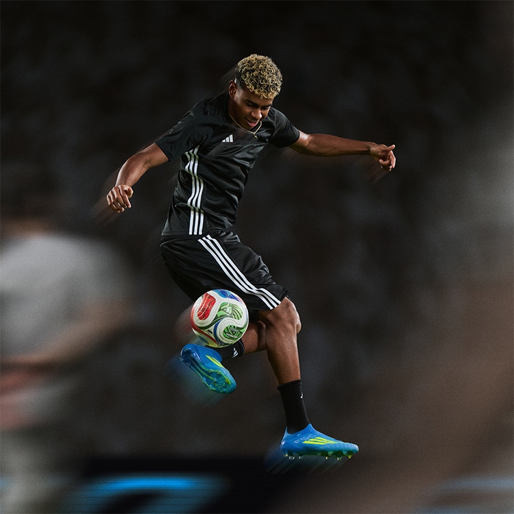 F50 GALLERY