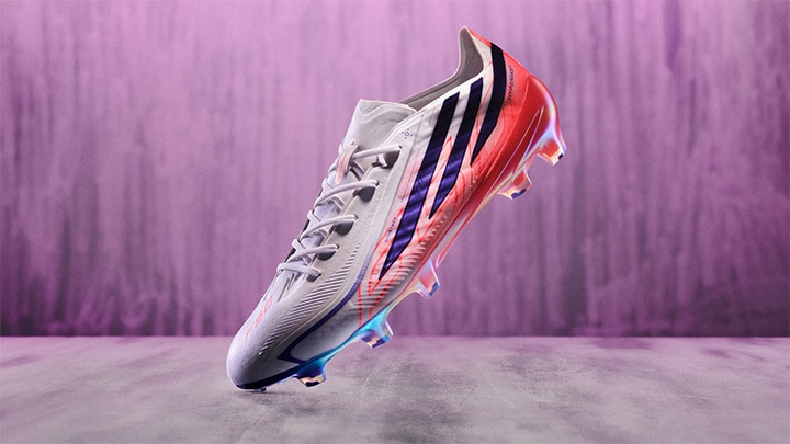 F50 GALLERY