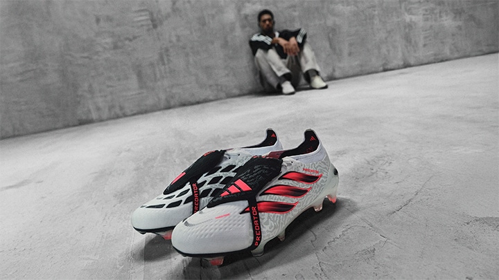 PREDATOR GALLERY