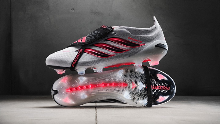 PREDATOR GALLERY