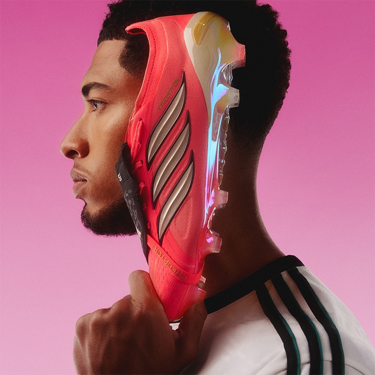PREDATOR GALLERY